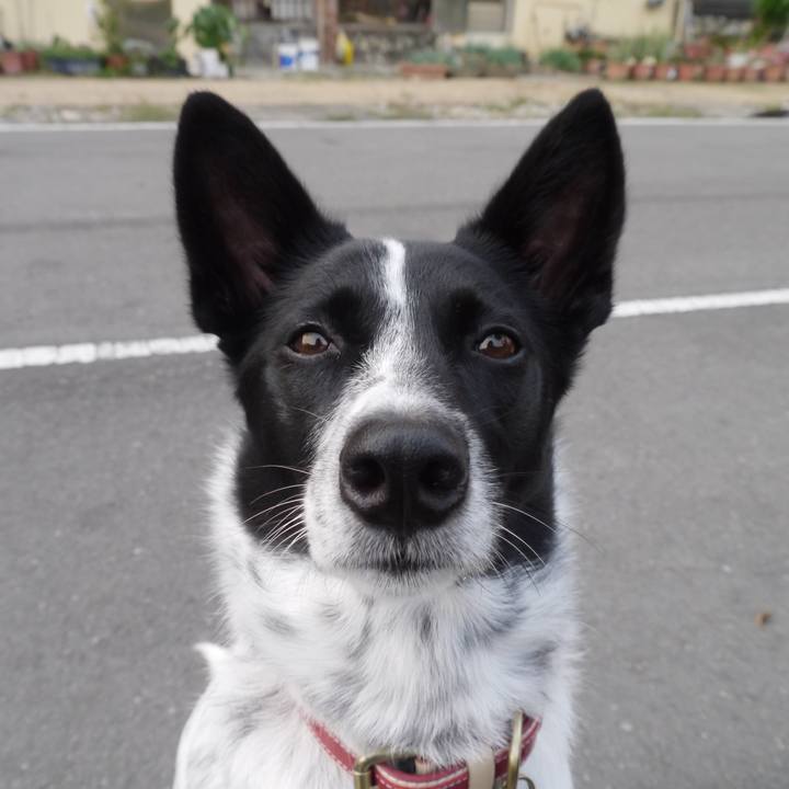 Abcb096b d5e9 48da a795 6548fb9eafc4