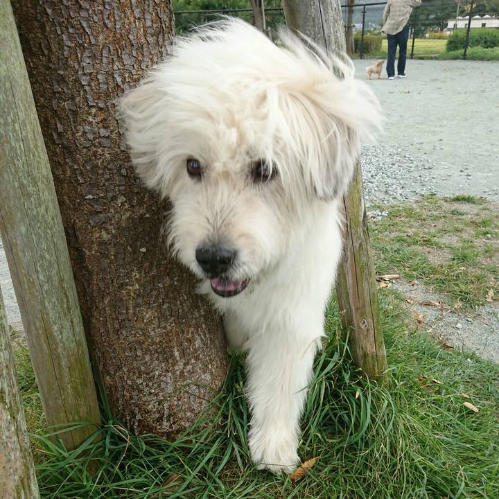 Abcb25fb a941 483e 9cf5 da85358e479b