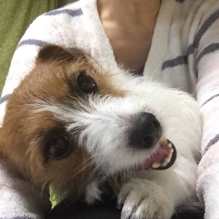 Abcb3245 7a55 4e5a 9c98 332ccb2e9e35