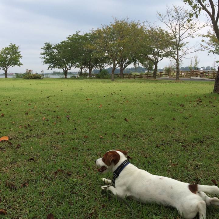 Abcb5e83 c3bc 421c 9548 ebcc5a2f0dc1