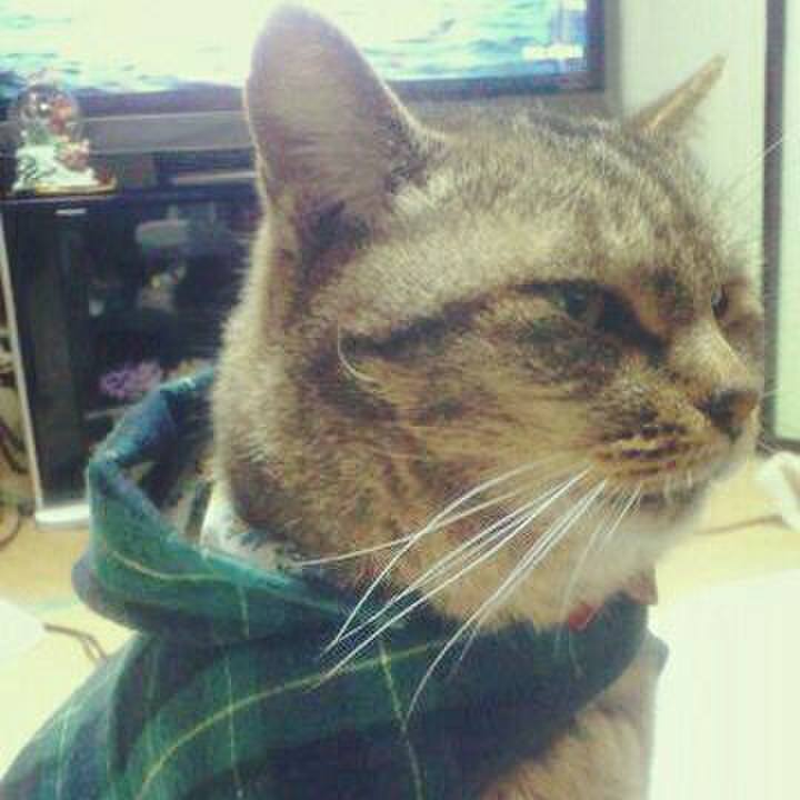 Abcb65bc 27f4 450b 85e8 7645f30d62ff