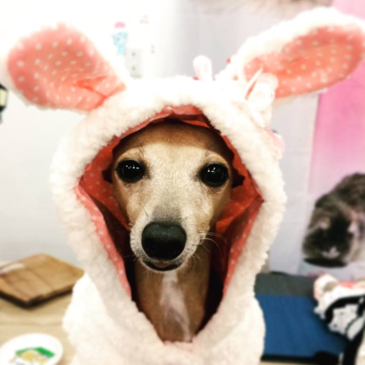 Abcbd75d 2580 4988 a9fe 6772e42054f9