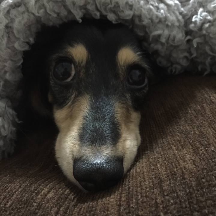 Abcc501e 2754 4489 bd25 4ebdfe7bed4c