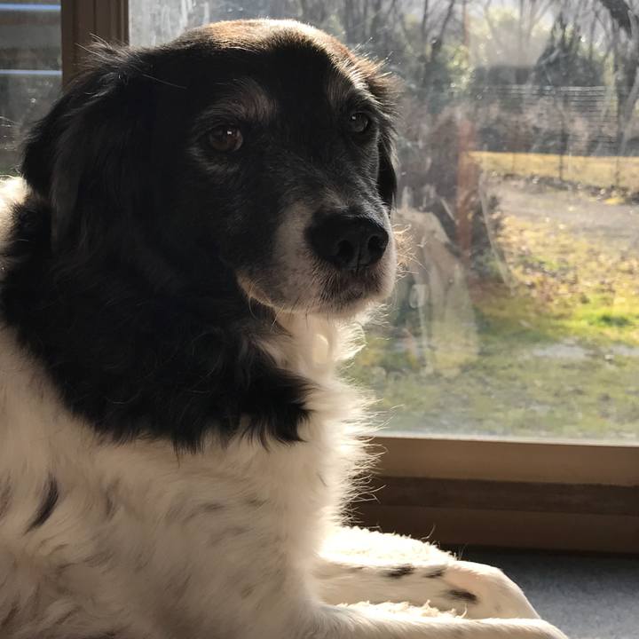 Abcc85de 1fe1 437a 9b0d d6346550a6e9