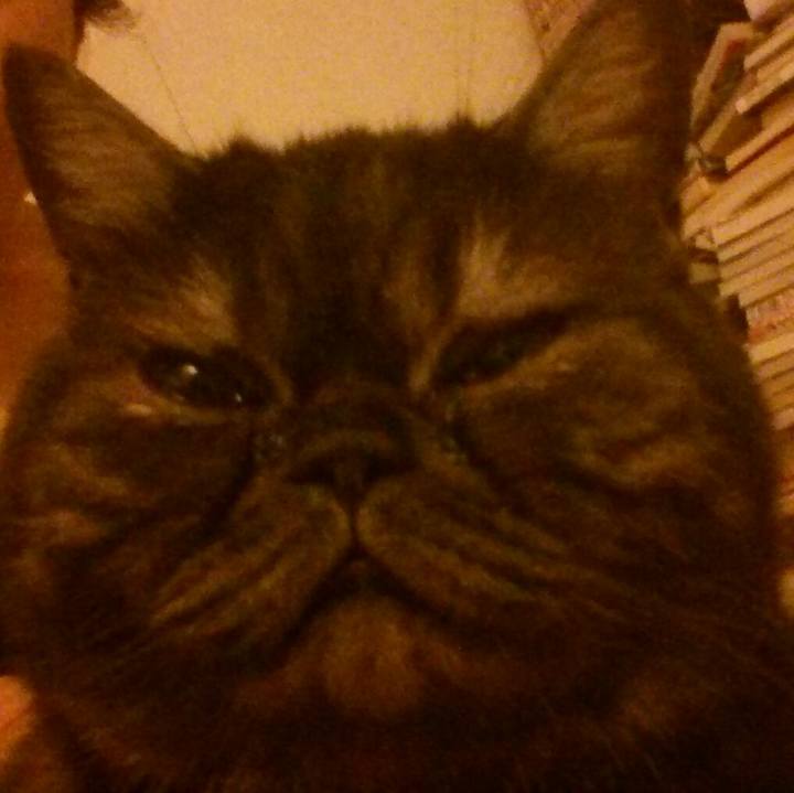 Abcc8a20 46dd 45c8 81bc ee9da9479802