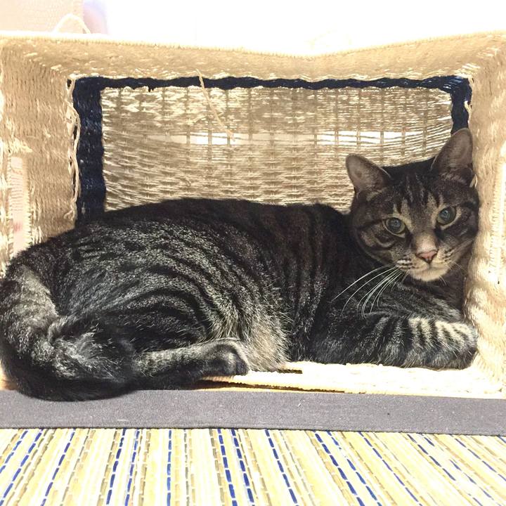 Abcc9347 2481 4312 a721 b2f4503d022b