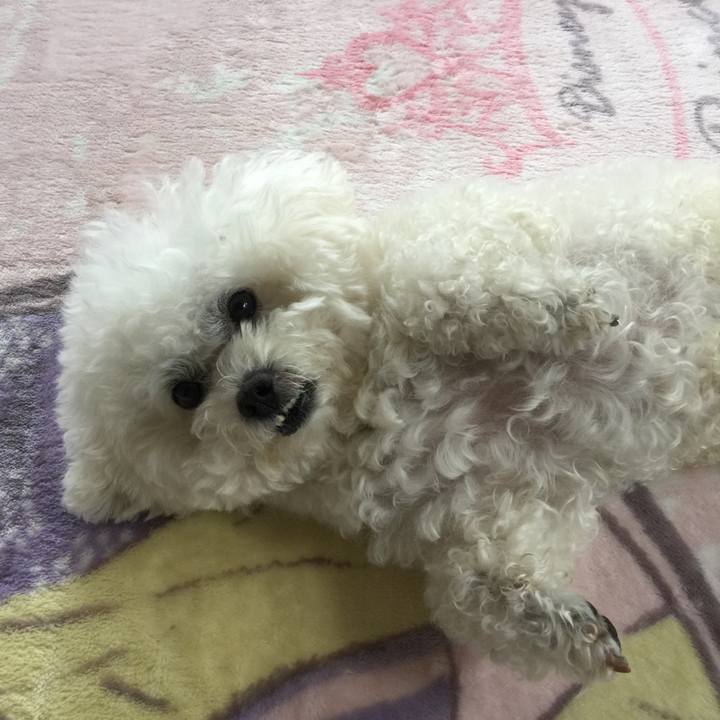 Abccc722 5e3c 4174 be7e 41f2a8b3c665