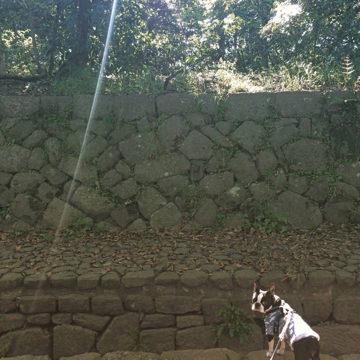 Abcccbbd 1c7e 4868 be65 0ed5593b5312