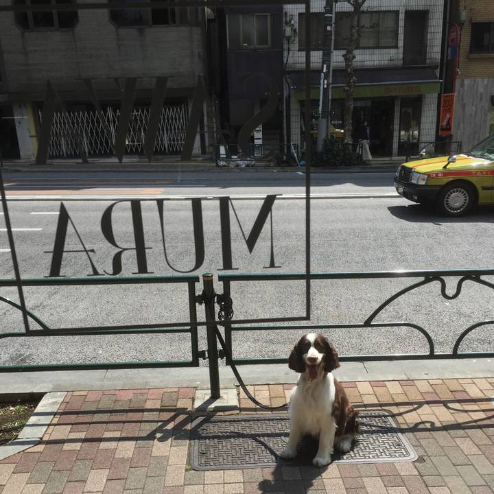 Abccde1d c1bd 4ca1 911d 99154cfaf7ef