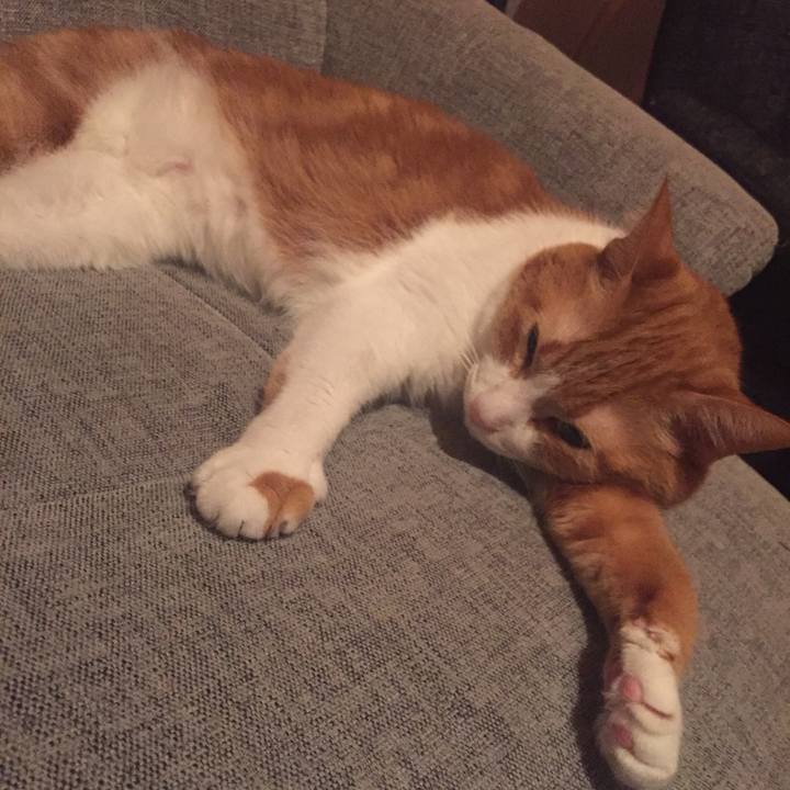 Abcd0841 27e0 4e67 ad3e ddb5da2ed34a