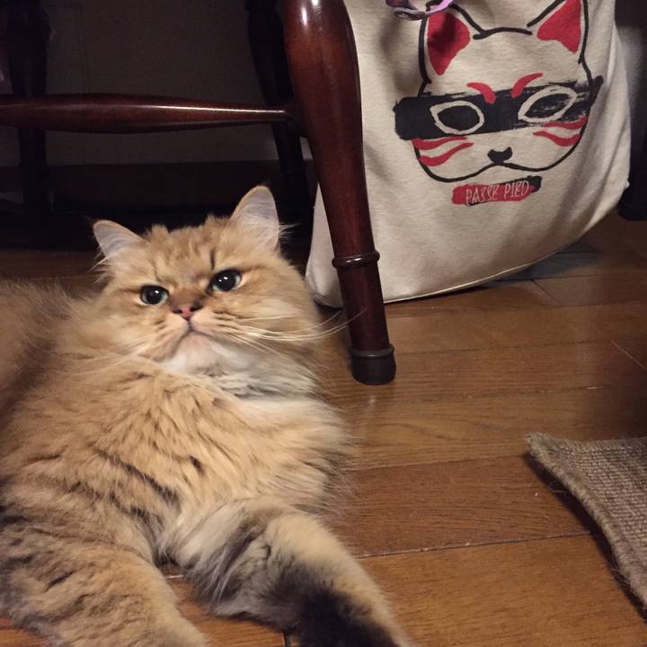 Abcdad5d a8d0 4bfc 8aa4 47e0c5b4afdb