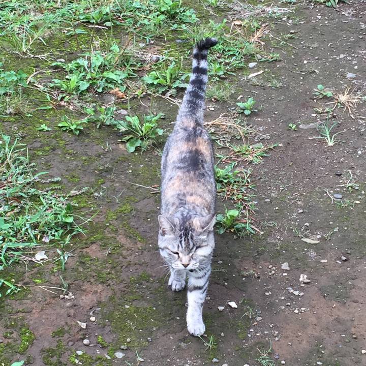 Abcdcb97 02c5 430a adb5 f57a43640080