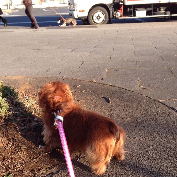 Abcdf01d 9215 49b6 92ad ccc981a37417