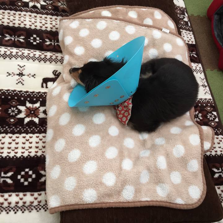 Abce8ecd 379a 466f b7a6 ef345bb67bd8