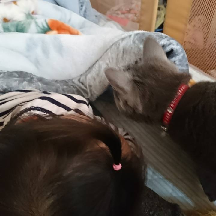 Abcecf09 66a6 4820 9641 cdfb99e89039