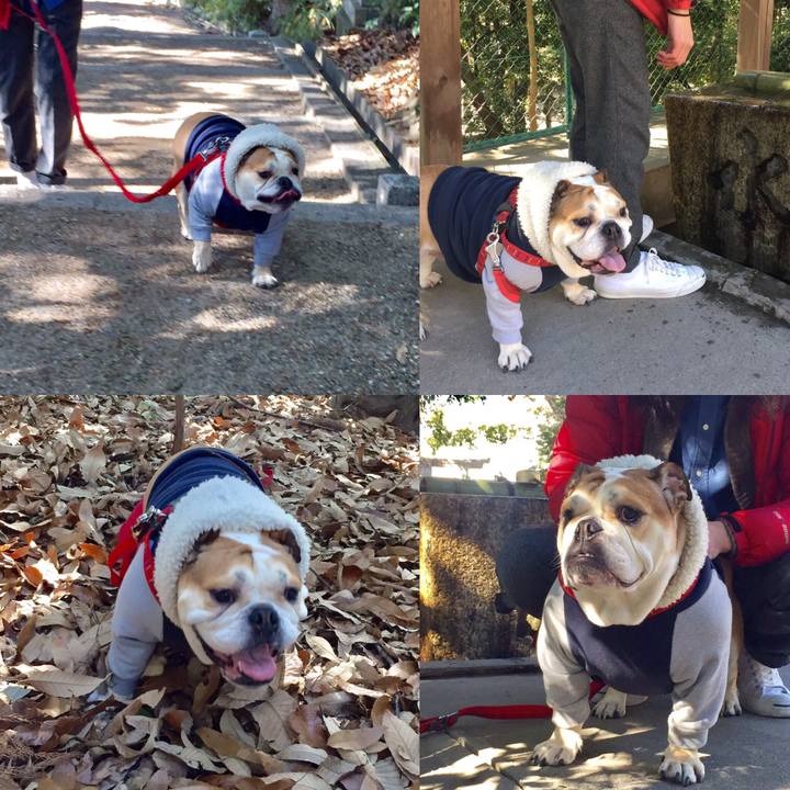 Abcf2c1d 741d 4500 aef0 b095d7d41de8