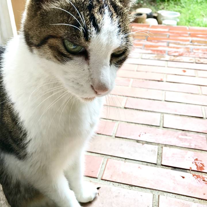 Abcf4ada 90f9 4c7f b08a c9d02657c038