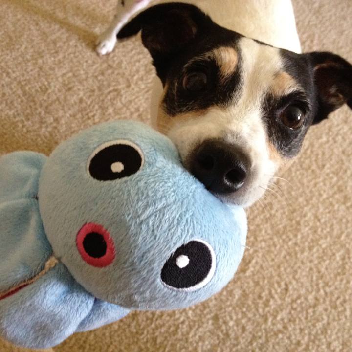 Abd06855 333a 495d 8abb 9f02766878e8