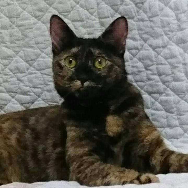 Abd13b7a 1326 459f a098 0bbb186634f9