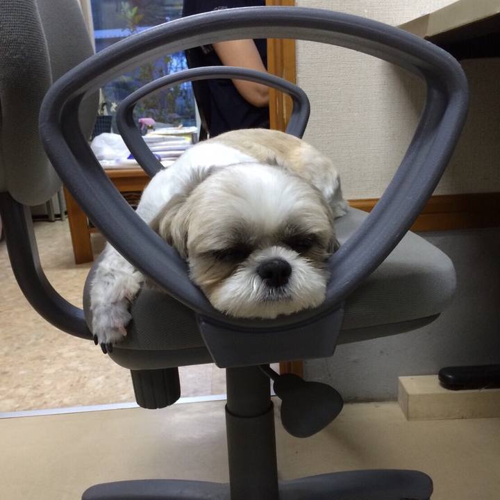 Abd15c0c 2cf7 49b4 af54 9cfb0e7af327