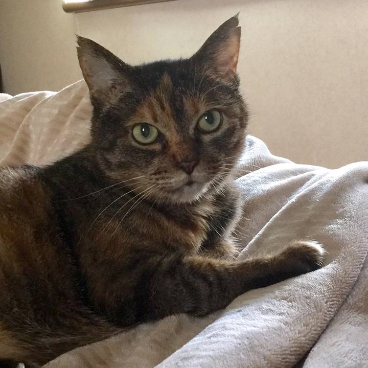 Abd2681b d89e 4ce6 aa29 022297c04d75