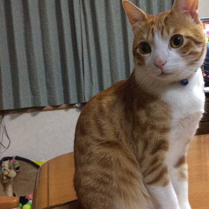 Abd2a54c 1d91 4408 b161 2db1db1365cb