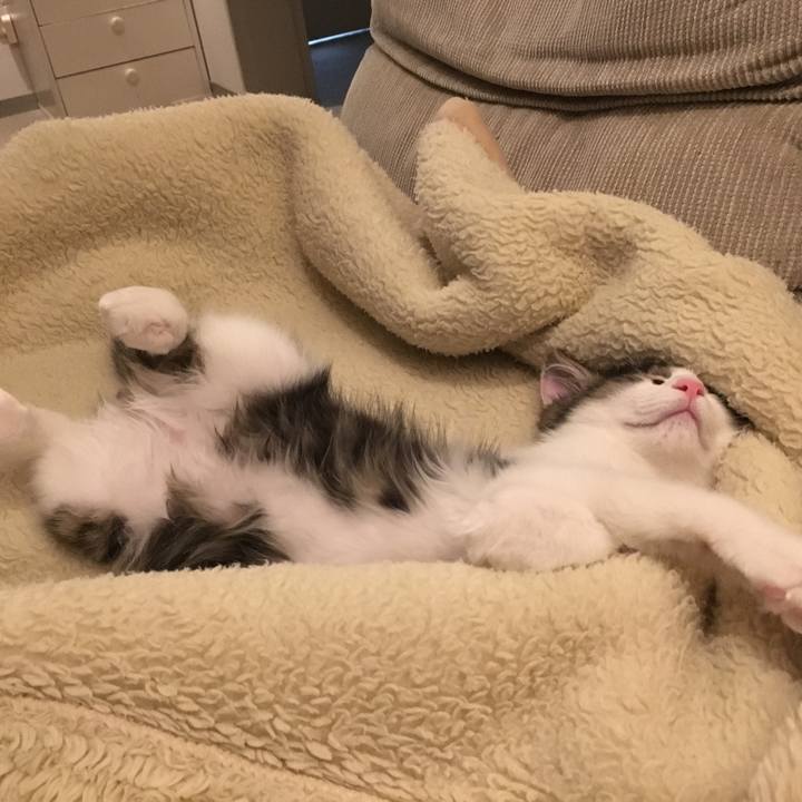 Abd36b64 d91a 4041 b457 db6e0516ef5c