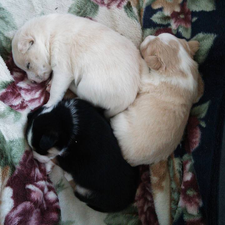 Abd4024b 0fdb 4b84 89b3 9a9c5a74ea37