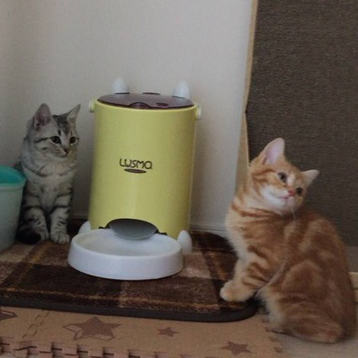 Abd40fc5 9e7e 4389 b36e 69311ae35ffd