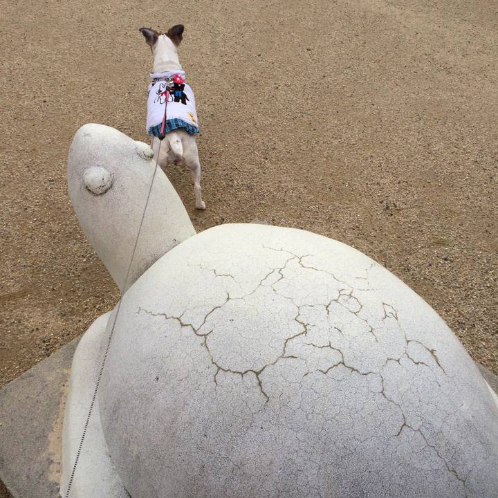 Abd46572 1172 489b 8078 1fec4a04d814