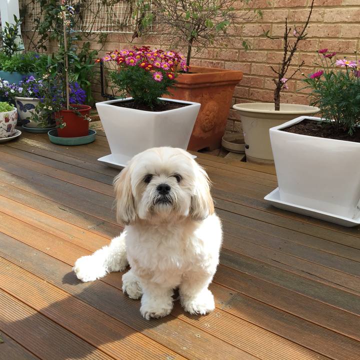 Abd4aa9b 2ac2 4764 ba53 e6688c5d8dce