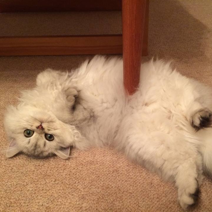 Abd4b2bb 45f2 48a9 a993 73b133542571