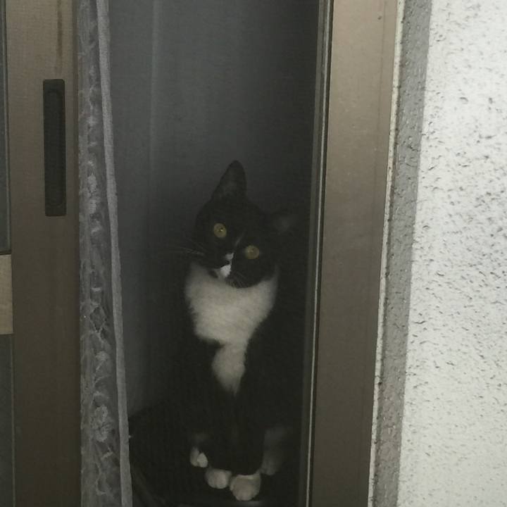 Abd54bcf c63e 40b7 9eaf d0c46b4b34d4