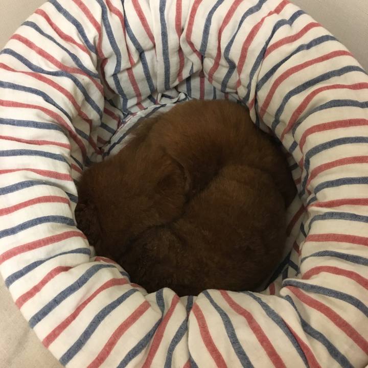 Abd58afa 9c81 4e03 be5a 37707c84b7c3