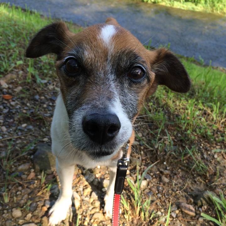 Abd59fa0 e3b6 4536 8ebb 9fcd969aabd4