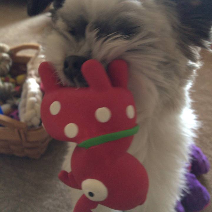 Abd5c1a6 bd58 4115 a72c e78a91295c9a