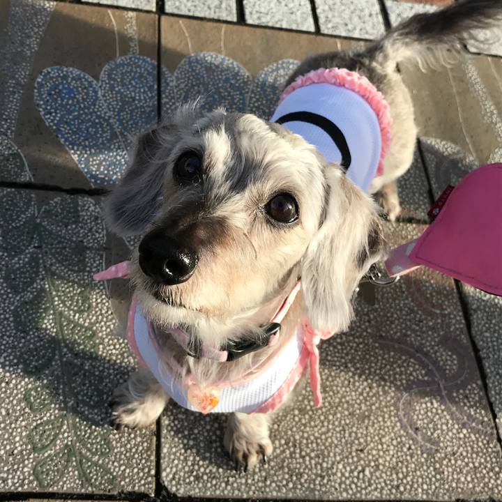 Abd5d4f6 d70b 42dd 9124 44eb5c081856