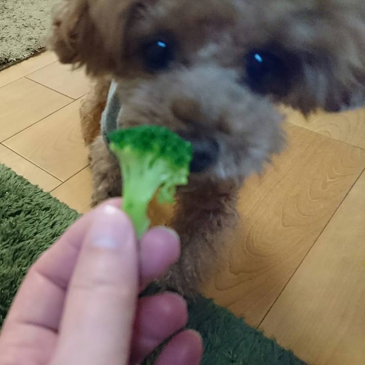 Abd5d5c1 9730 4b66 bb8e f97f1b2a379f