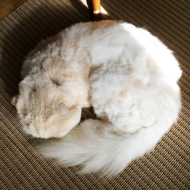 Abd6760b 5bad 45c3 a84a 5a67022113c6