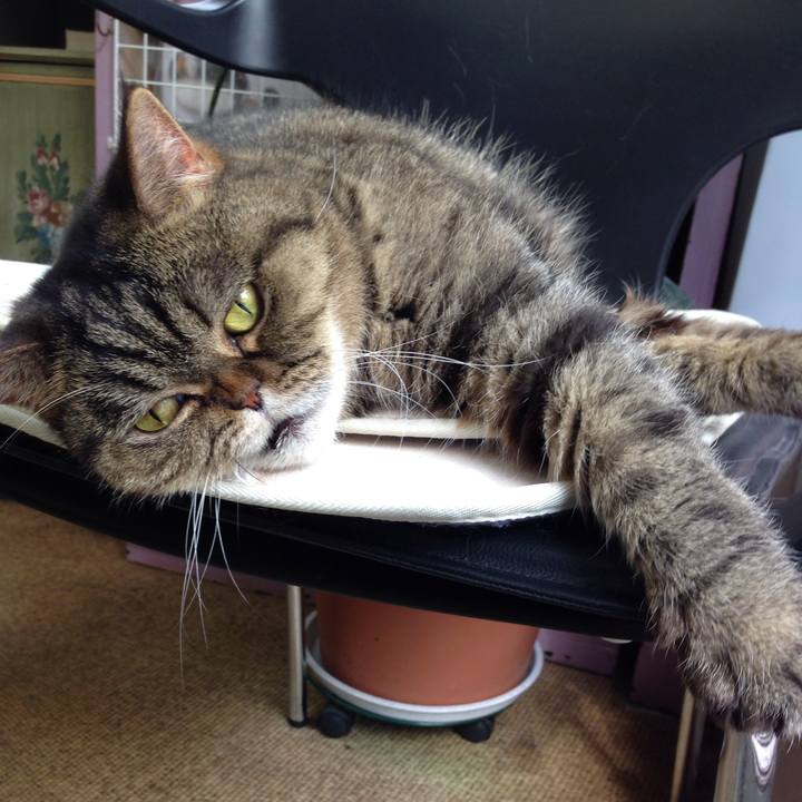 Abd67e03 131e 43a5 a89e 7923d4cecc24