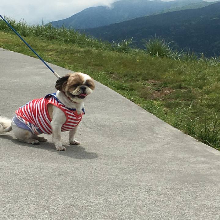 Abd6b1e5 0b14 4128 8947 940421a69d93