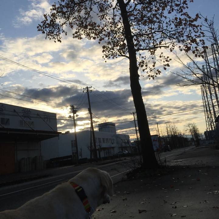 Abd6f55d de94 4a5b 8096 6b7d48656341