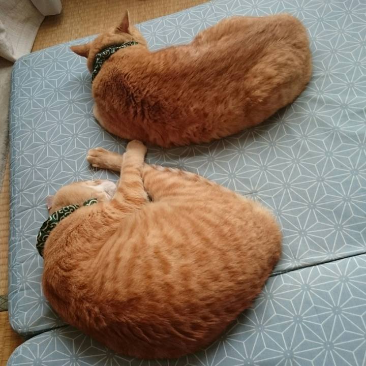 Abd76d3c 97ef 41da b9f0 f17fa435fdd0