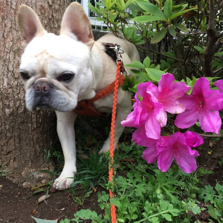 Abd7cd4a 5072 42b3 95fb 57fc0bc0ba65