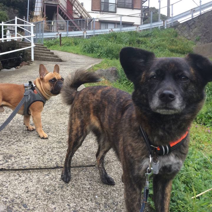 Abd7e0c4 347c 4a14 852e ebacc3c3d3a9