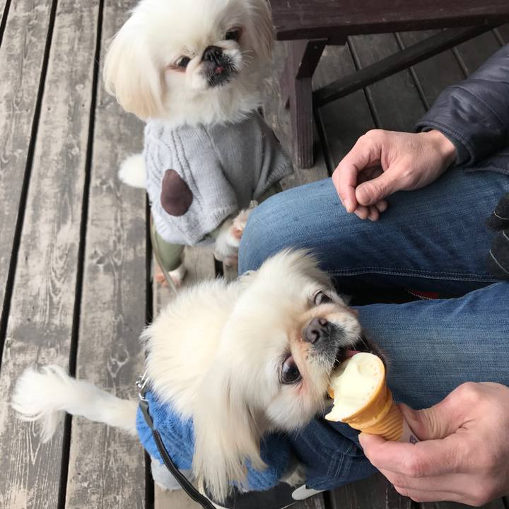 Abd7e7b6 302f 49d2 8fae b53da30c37fa