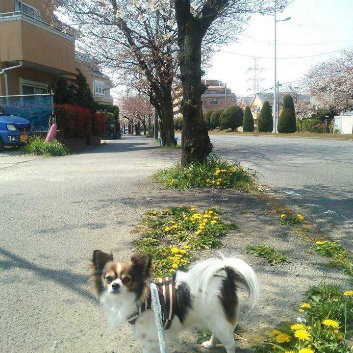 Abd8469c 7ed7 4cc3 a6f4 02cba39ab308