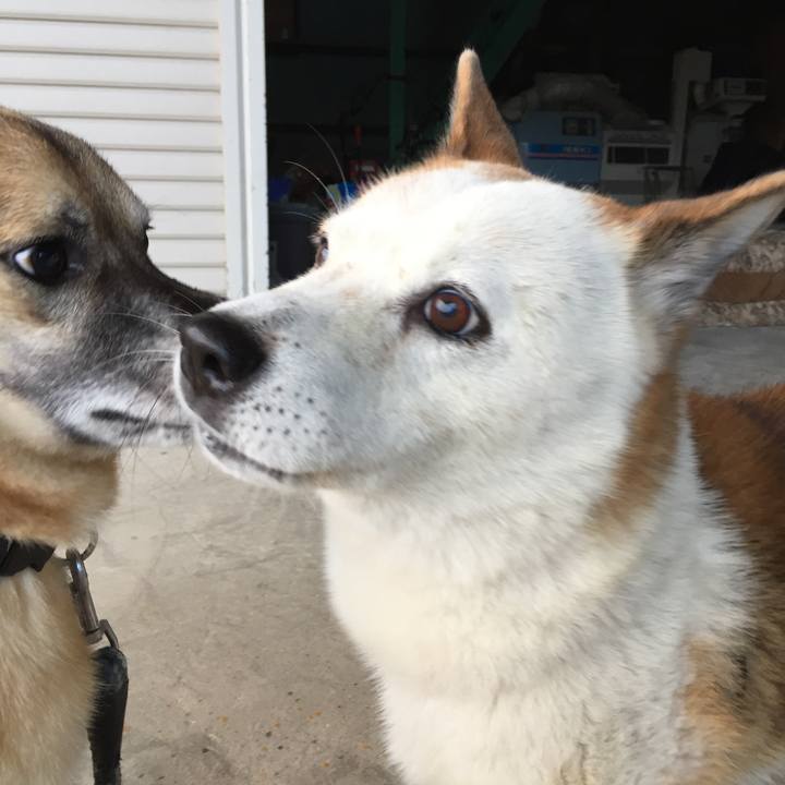 Abd870aa 53ee 4d8a a46d c4af91648129