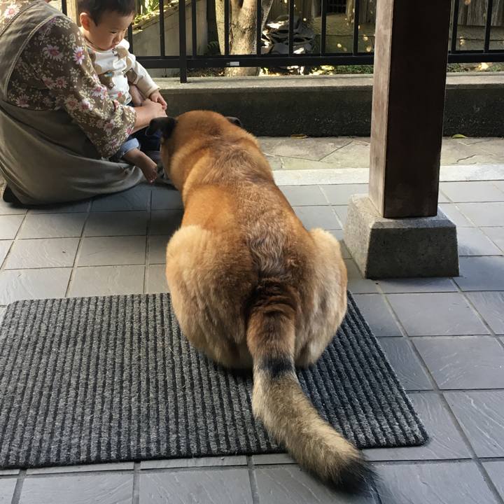 Abd93536 c91a 4ae1 a9cf d067ddca0b94