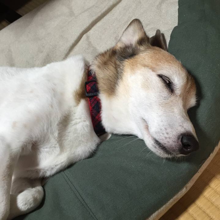 Abd95e74 49e5 4371 a809 2616529f28d0